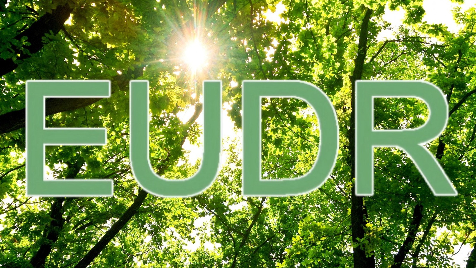 关于EUDR(欧盟零毁林法案)的清晰解读